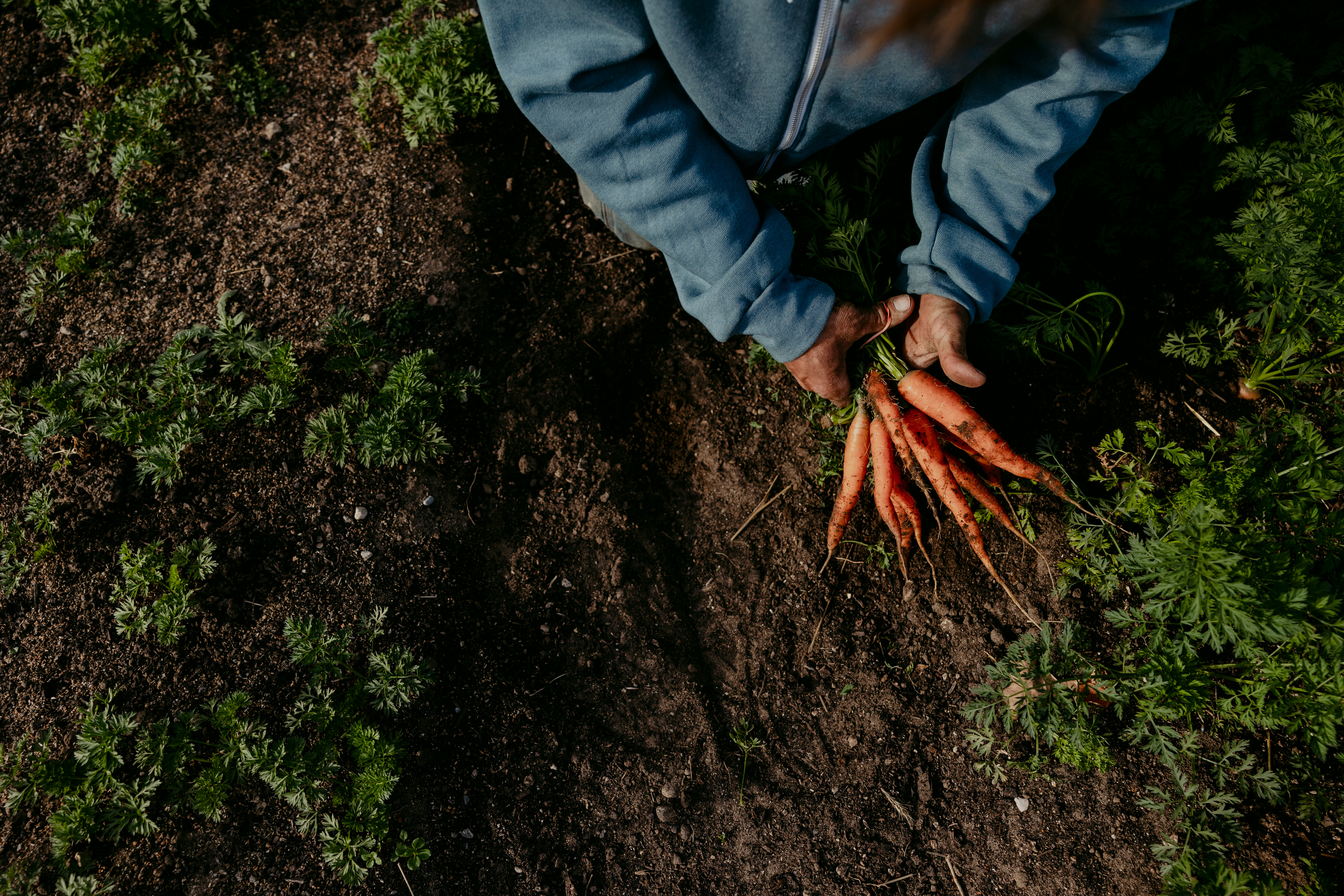 Many individuals and families across our region—including children, veterans, and working families—are facing challenges amid the federal government shutdown and the halting of SNAP benefits. During this difficult, uncertain time, it’s critical to come together for our neighbors and support each other, ensuring that help is provided swiftly and flexibly. Here is how you can support your neighbors today and where you can get help if you need it.  How to Support Your Neighbors •	Make a financial gift, donate grocery gift cards, or give nonperishable food items to local food pantries and food service organizations. For a full list of basic needs organizations, visit the Northwest Food Coalitions’ website. •	Volunteer at your local food pantry—they are seeing high demand and could use additional helpful hands. •	Contact your congressional representative and urge the passage of a federal budget or a continuing resolution. •	Donate to local food pantry endowments to support the long-term needs and missions of these critical organizations. Food pantry endowments that we steward include 5Loaves2Fish of Northern Michigan Endowment, Gini’s Pantry Endowment, Kalkaska Area Interfaith Resources Endowment, Food Rescue of NWMI Endowment. •	If you're a Community Foundation donor or advise a donor advised fund and are interested in giving to local food resources, reach out to our team at info@gtrcf.org or 231-935-4066 ext. 110 to speak with our Donor Engagement Director, Mercedes Bowyer. How to Receive Support •	For food and emergency assistance, call the United Way’s 2-1-1 hotline. They can help connect you to food pantries, emergency assistance, and other urgent need resources in your area. •	Visit your local food pantry to receive immediate supplies. For a full list of area organizations, visit the Northwest Food Coalitions’ website.