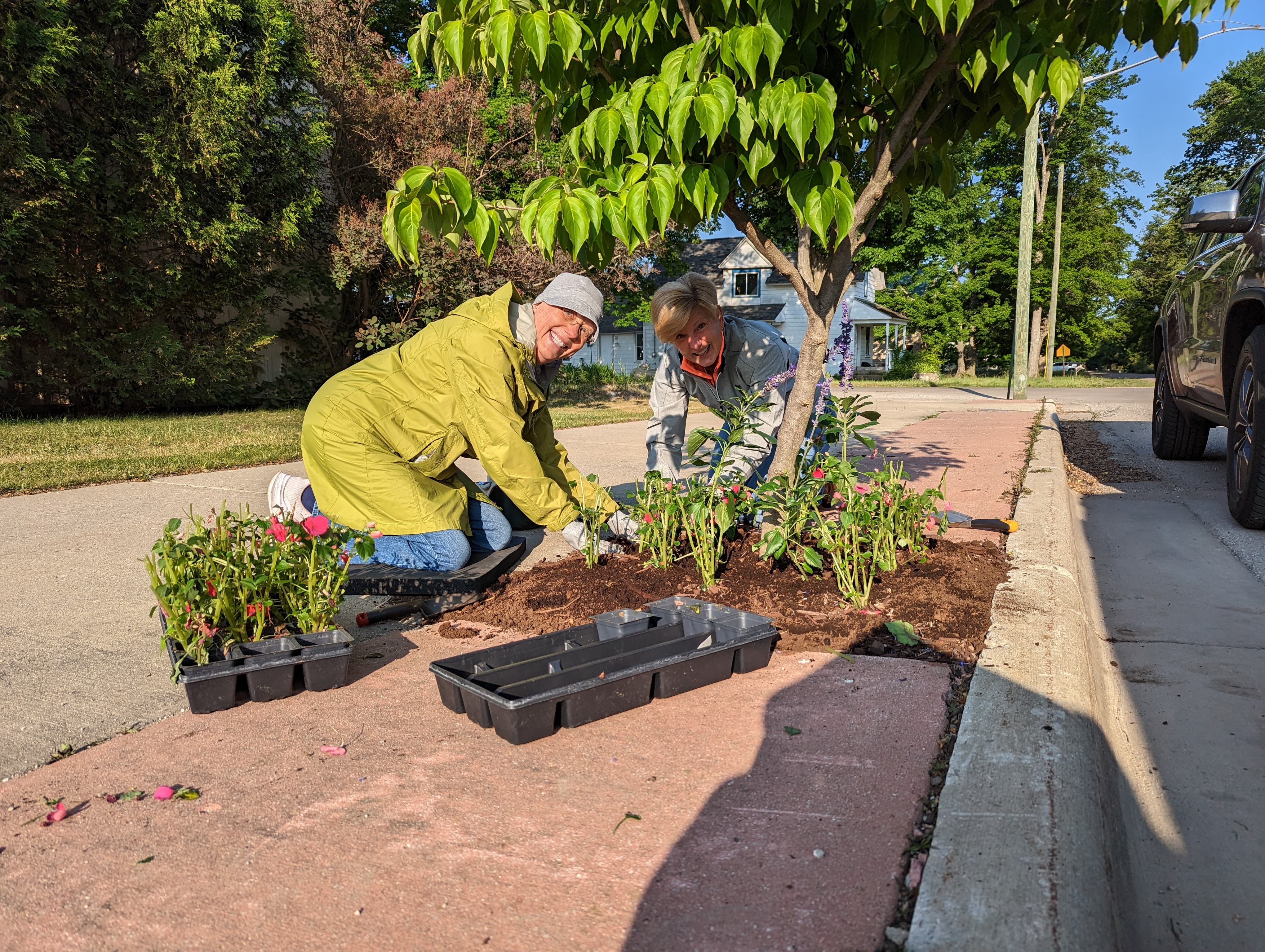 Two TARP volunteers planting spring flowers in downtown Thompsonville.