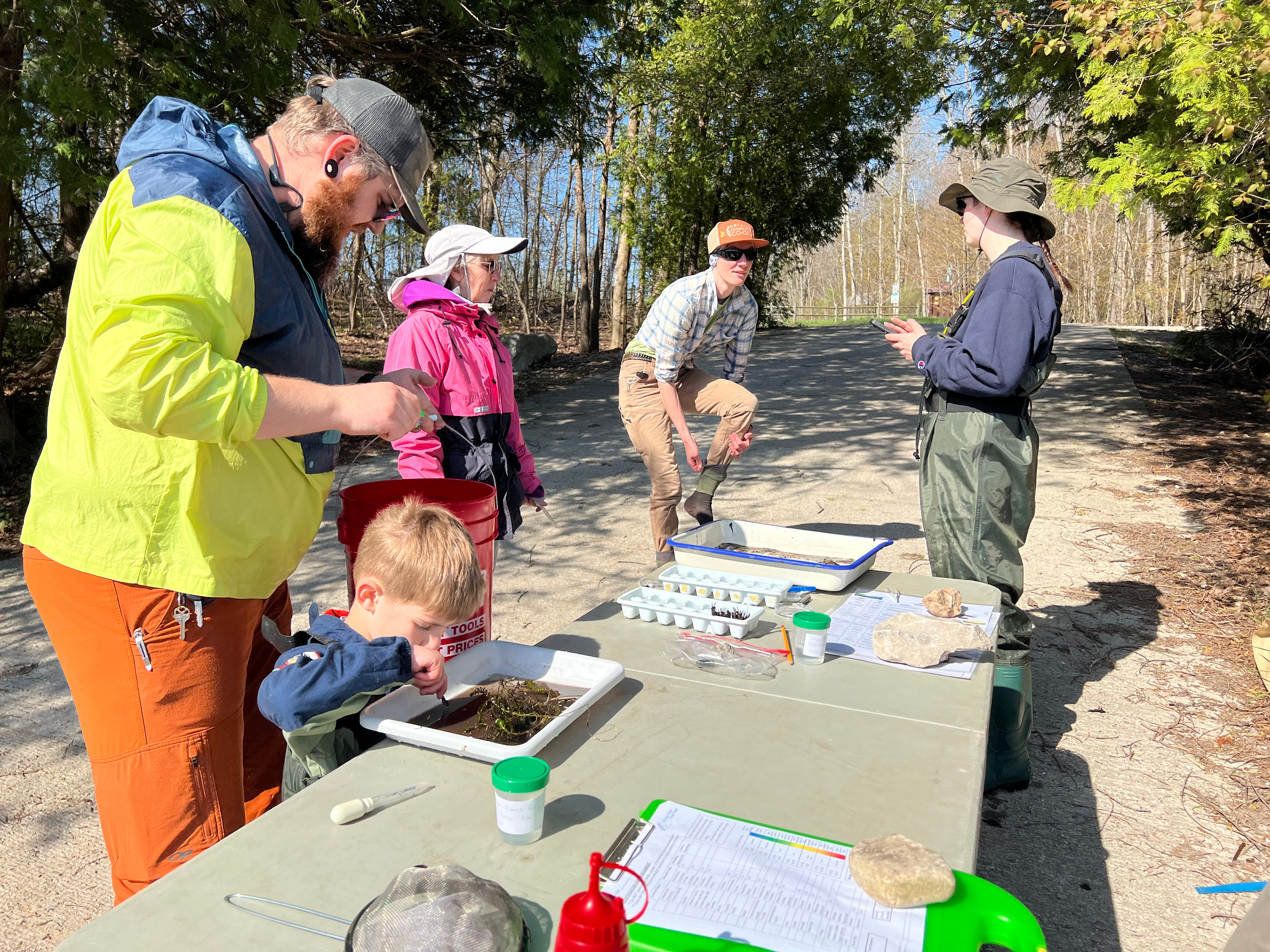 Five people, including a child, examine samples on a table during an outdoor educational activity on a forest path.